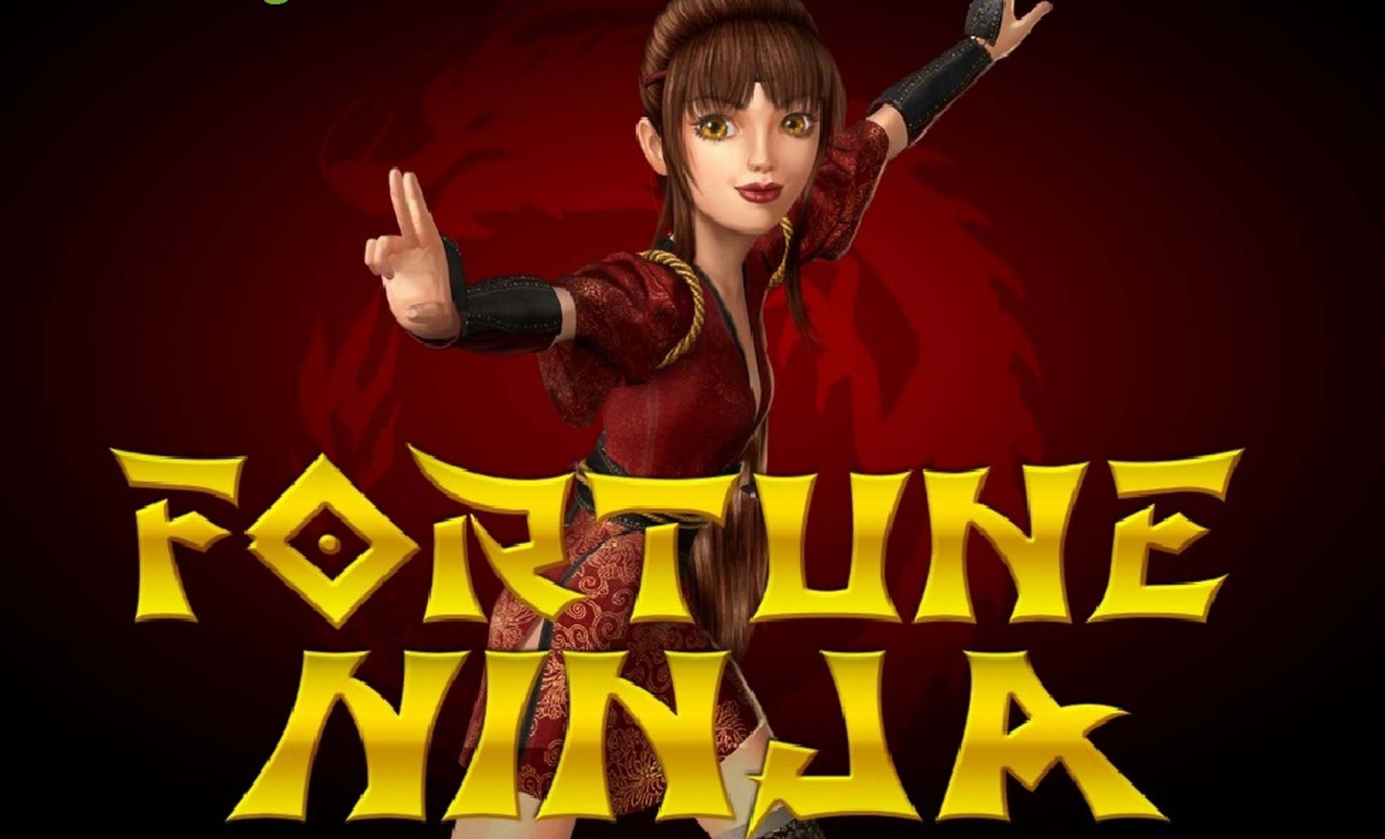 The Ninja Fortune Online Slot Demo Game by MikoApps