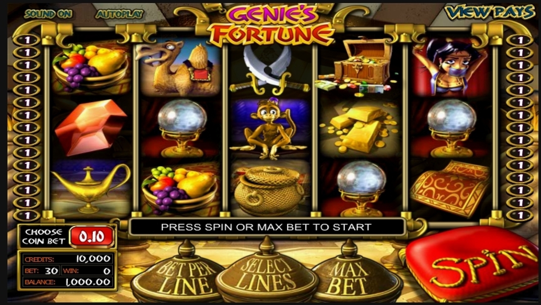 Reels in Genie's Fortune Slot Game by Betsoft
