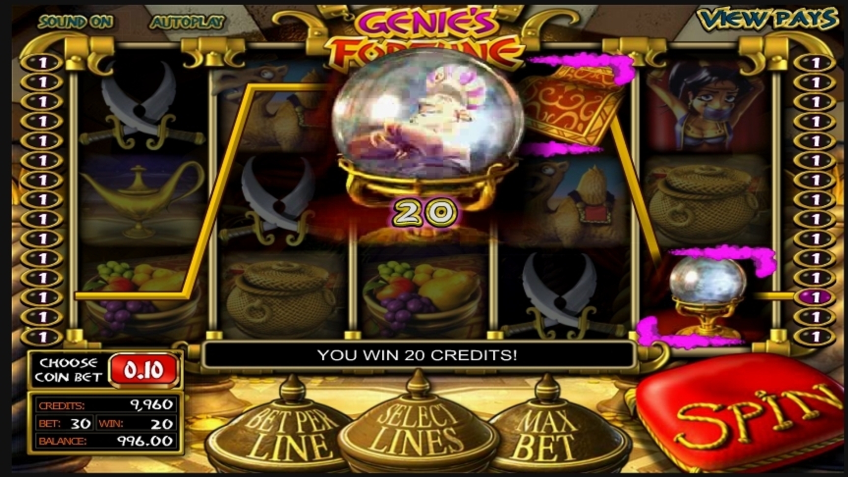 Win Money in Genie's Fortune Free Slot Game by Betsoft