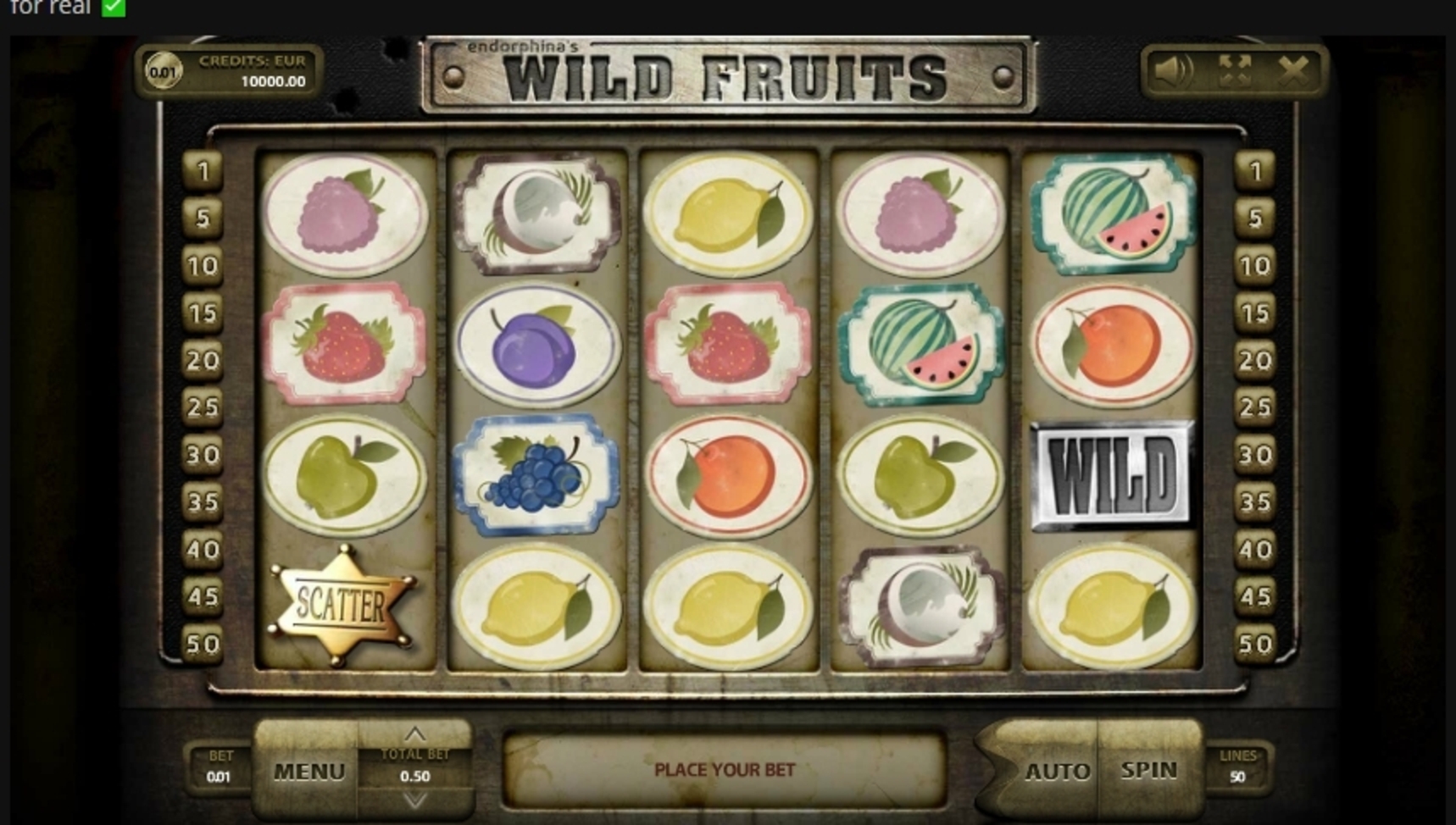 Reels in Wild Fruits Slot Game by Endorphina
