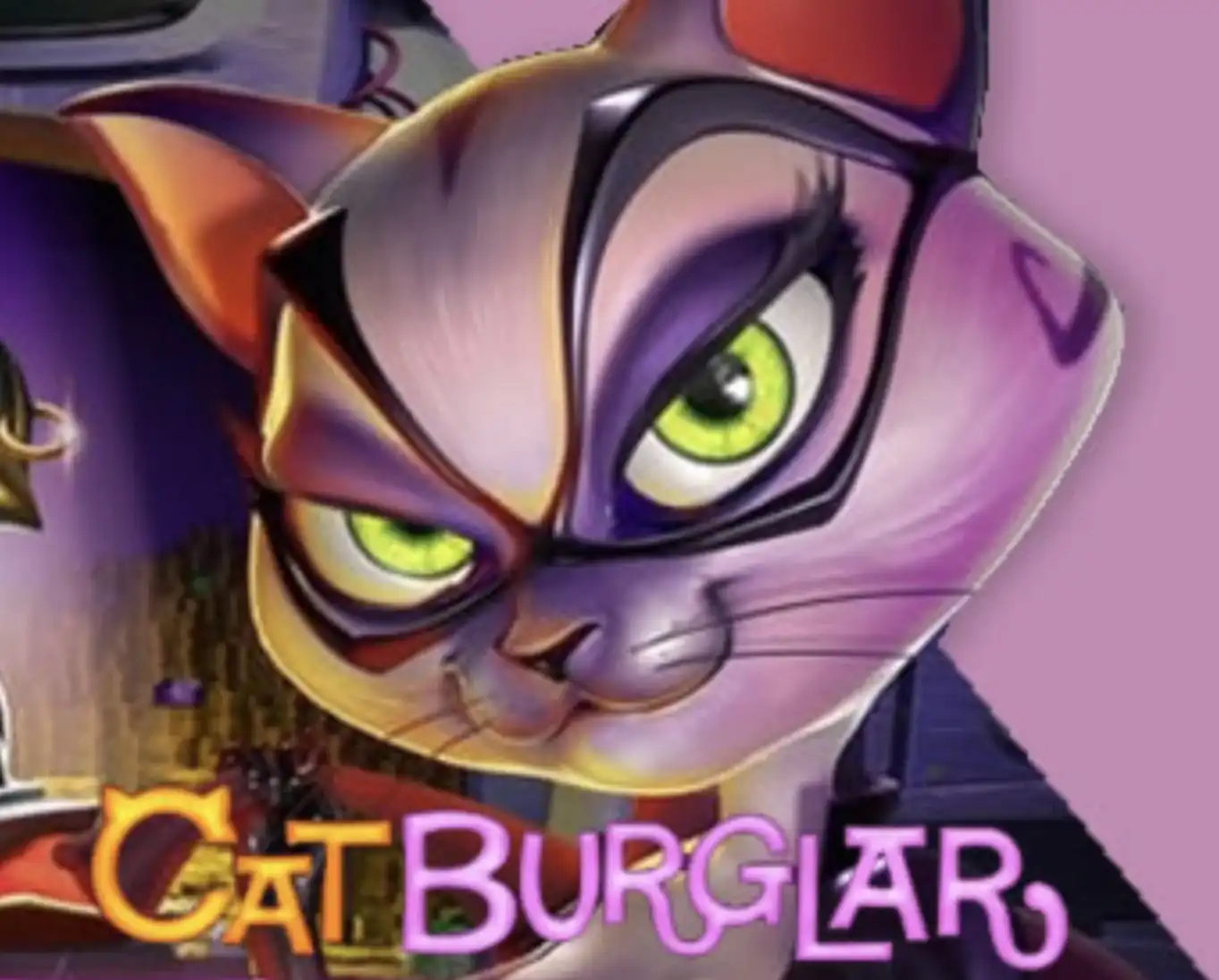 Cat Burglar