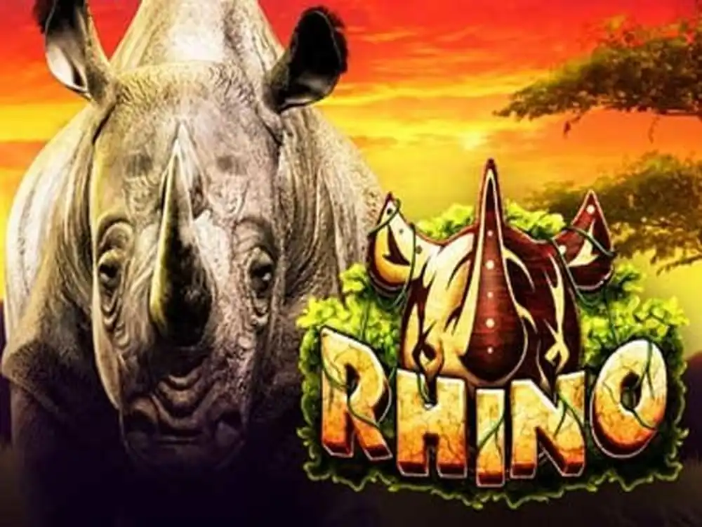 Rhino