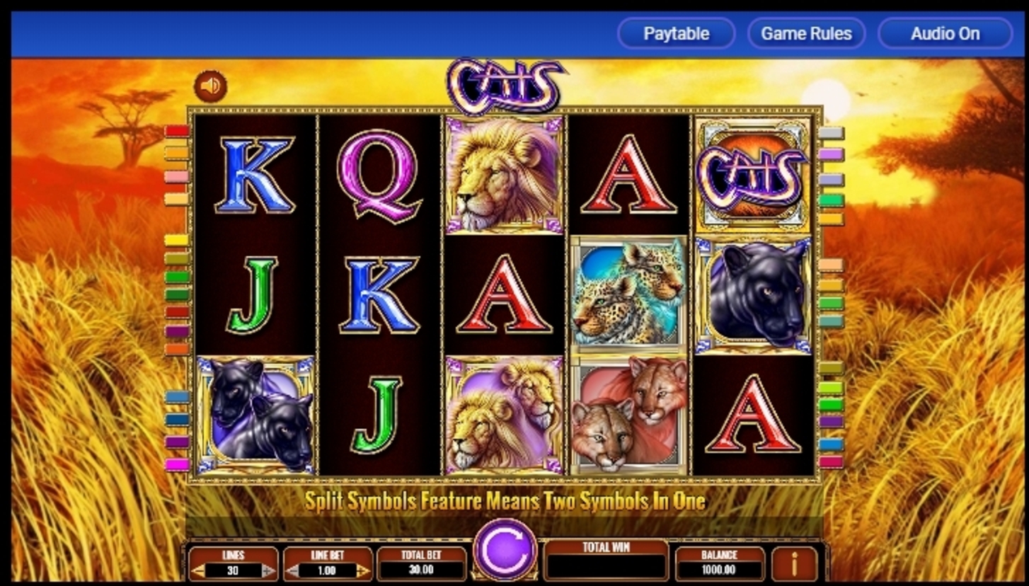 Reels in Cats Slot Game by IGT