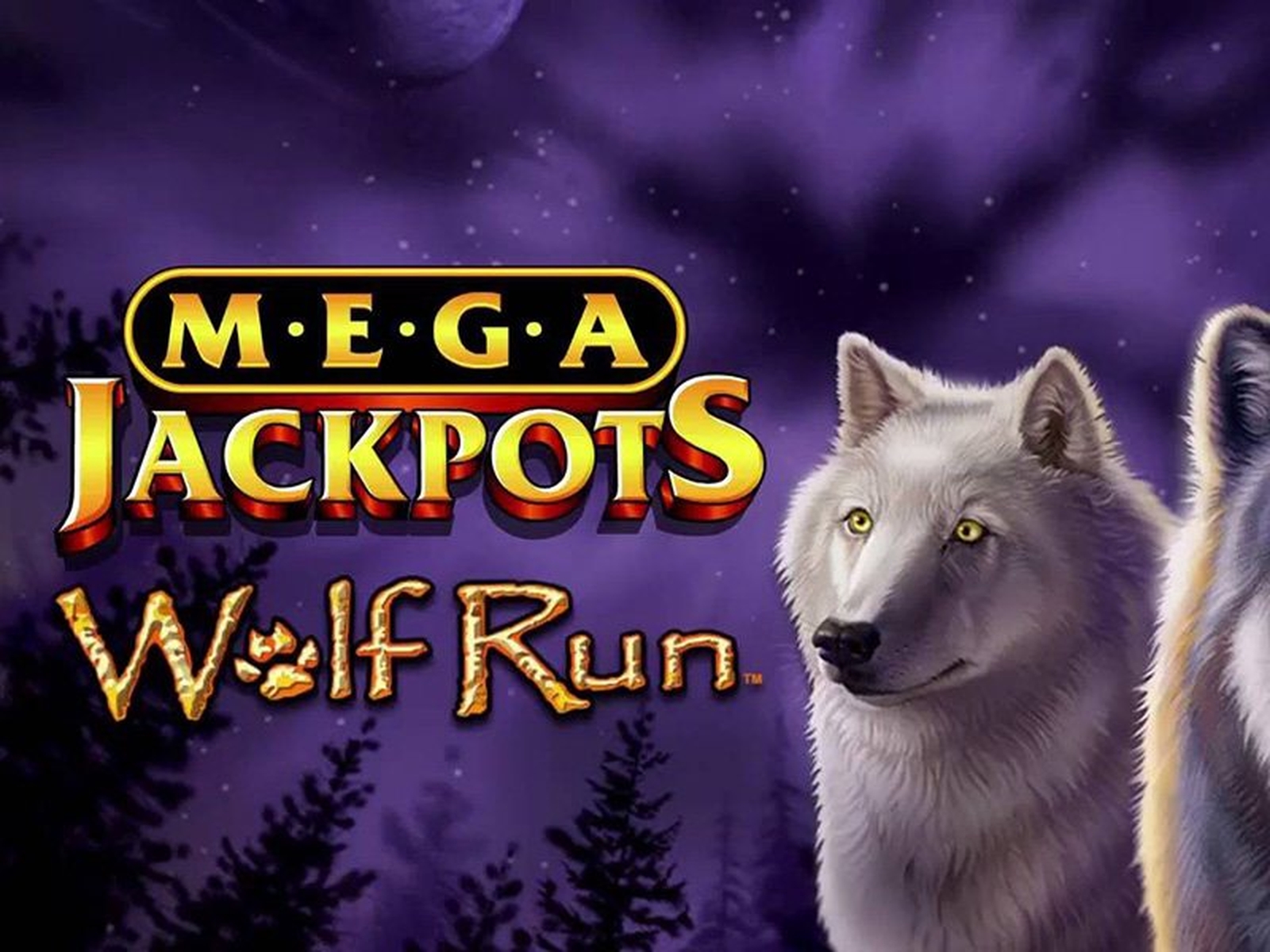 The MegaJackpots Wolf Run Online Slot Demo Game by IGT