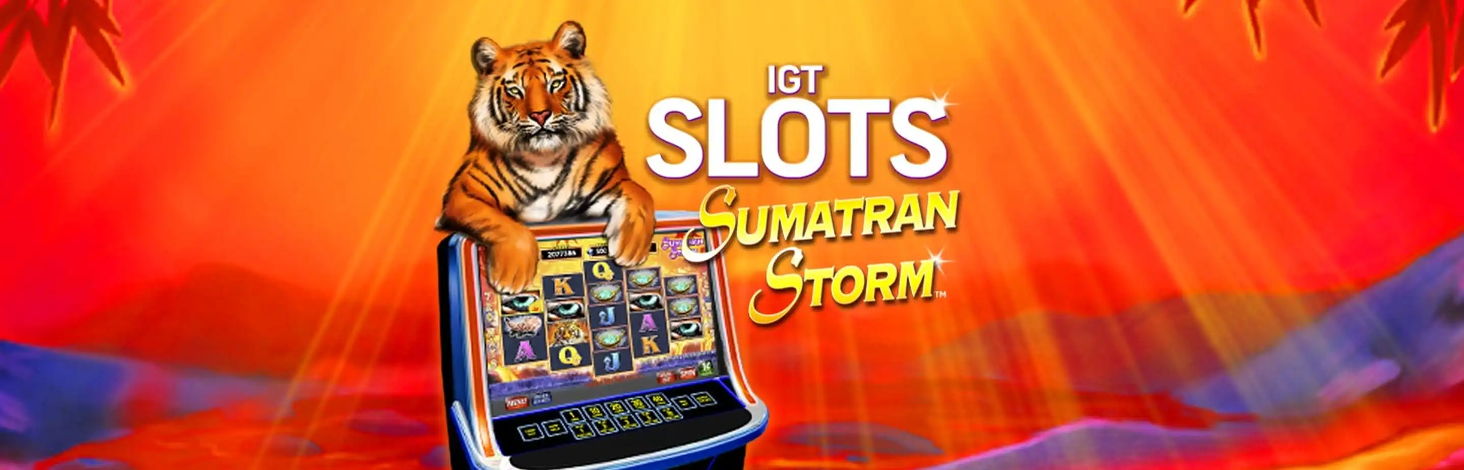 Sumatran Storm