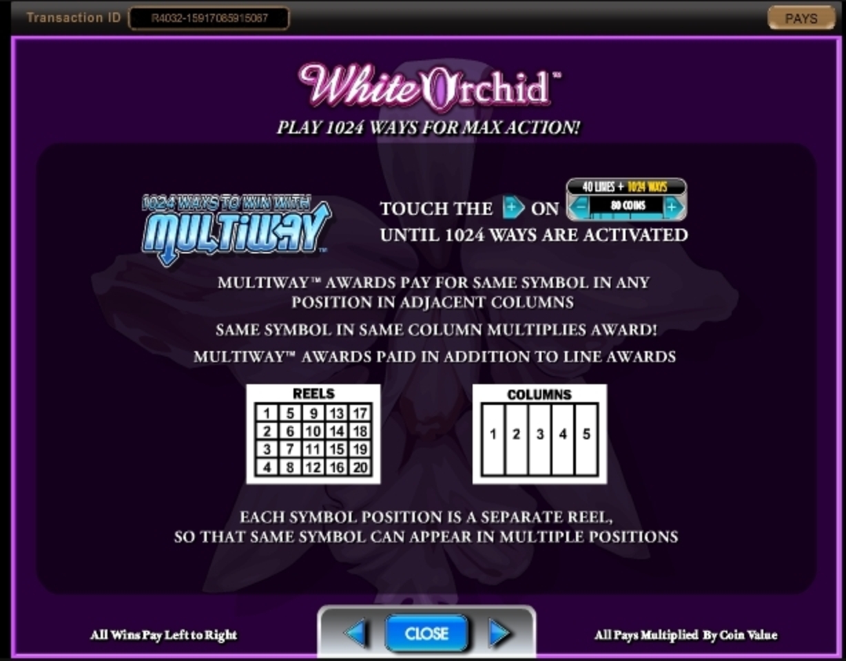 Info of White Orchid Slot Game by IGT