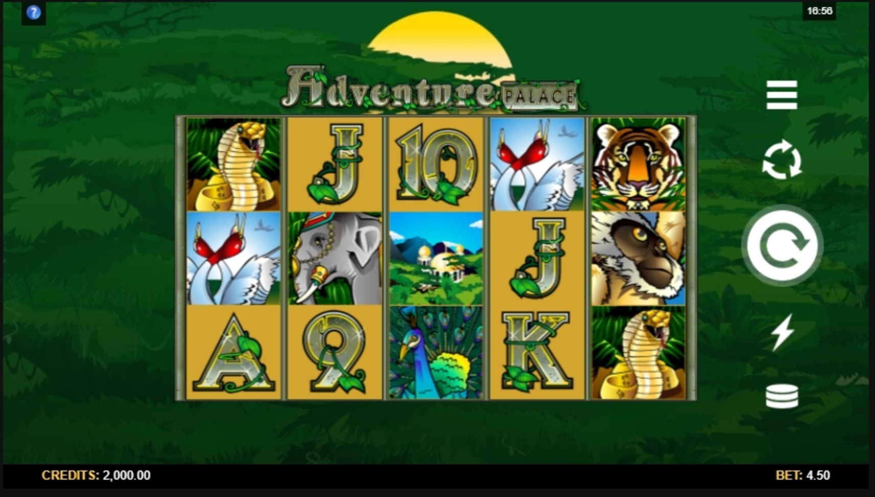 Reels in Adventure Palace Slot Game by Microgaming