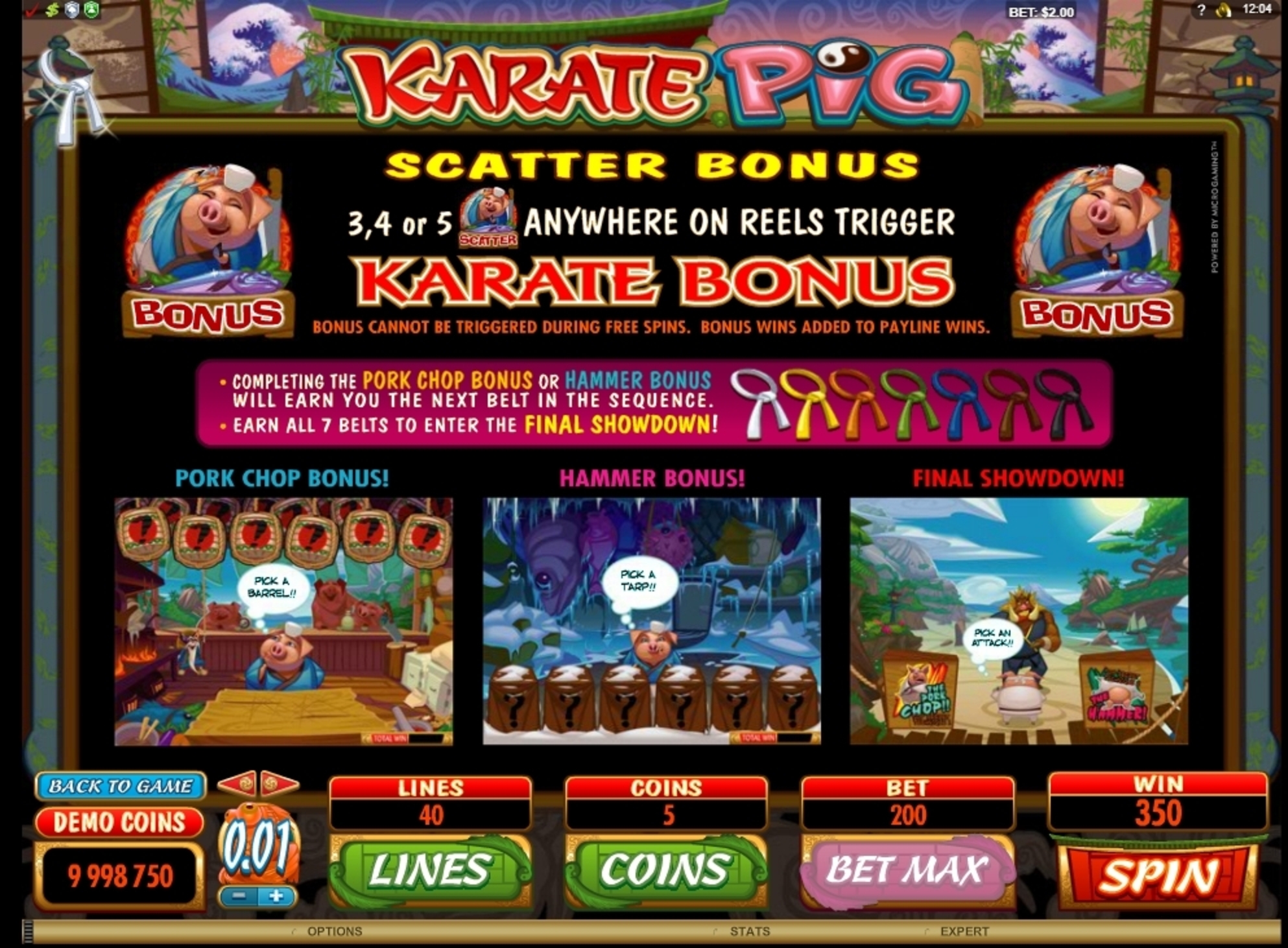 Info of Karate Pig Slot Game by Microgaming