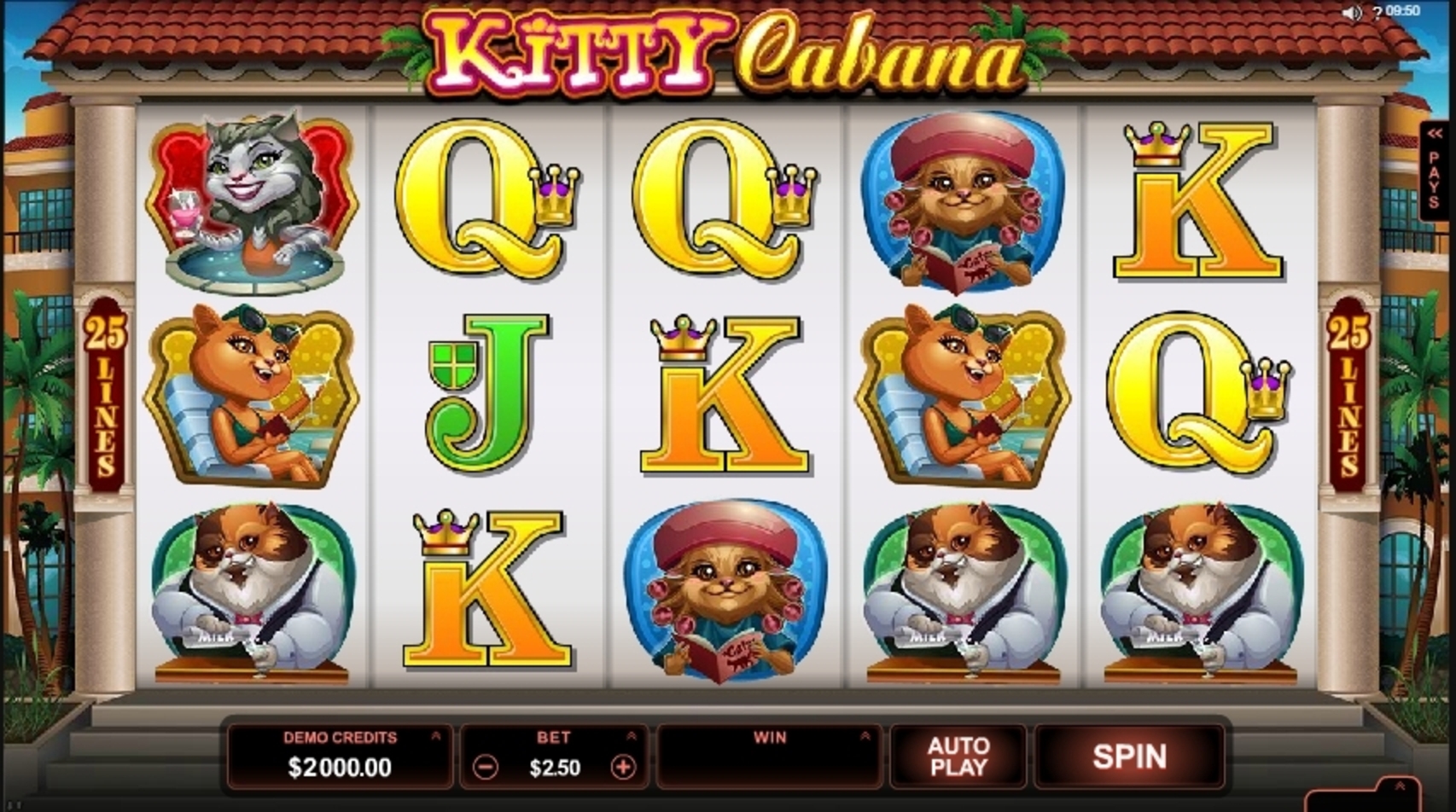 Reels in Kitty Cabana Slot Game by Microgaming