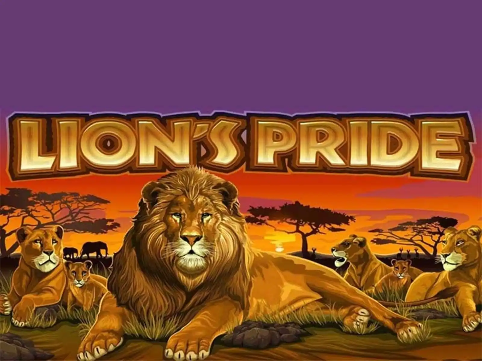 Lion's Pride