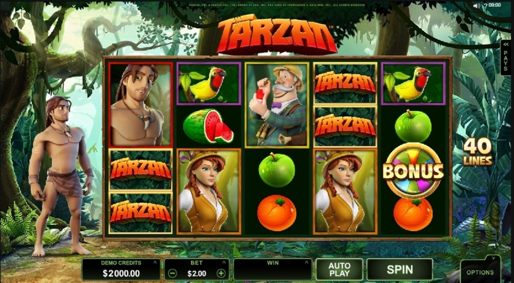 Reels in Tarzan Slot Game by Microgaming