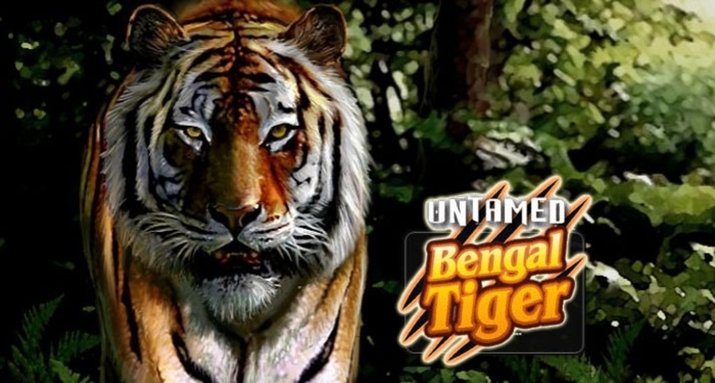 Untamed Bengal Tiger