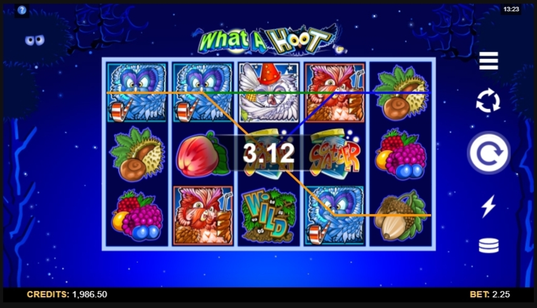 Win Money in What a Hoot Free Slot Game by Microgaming