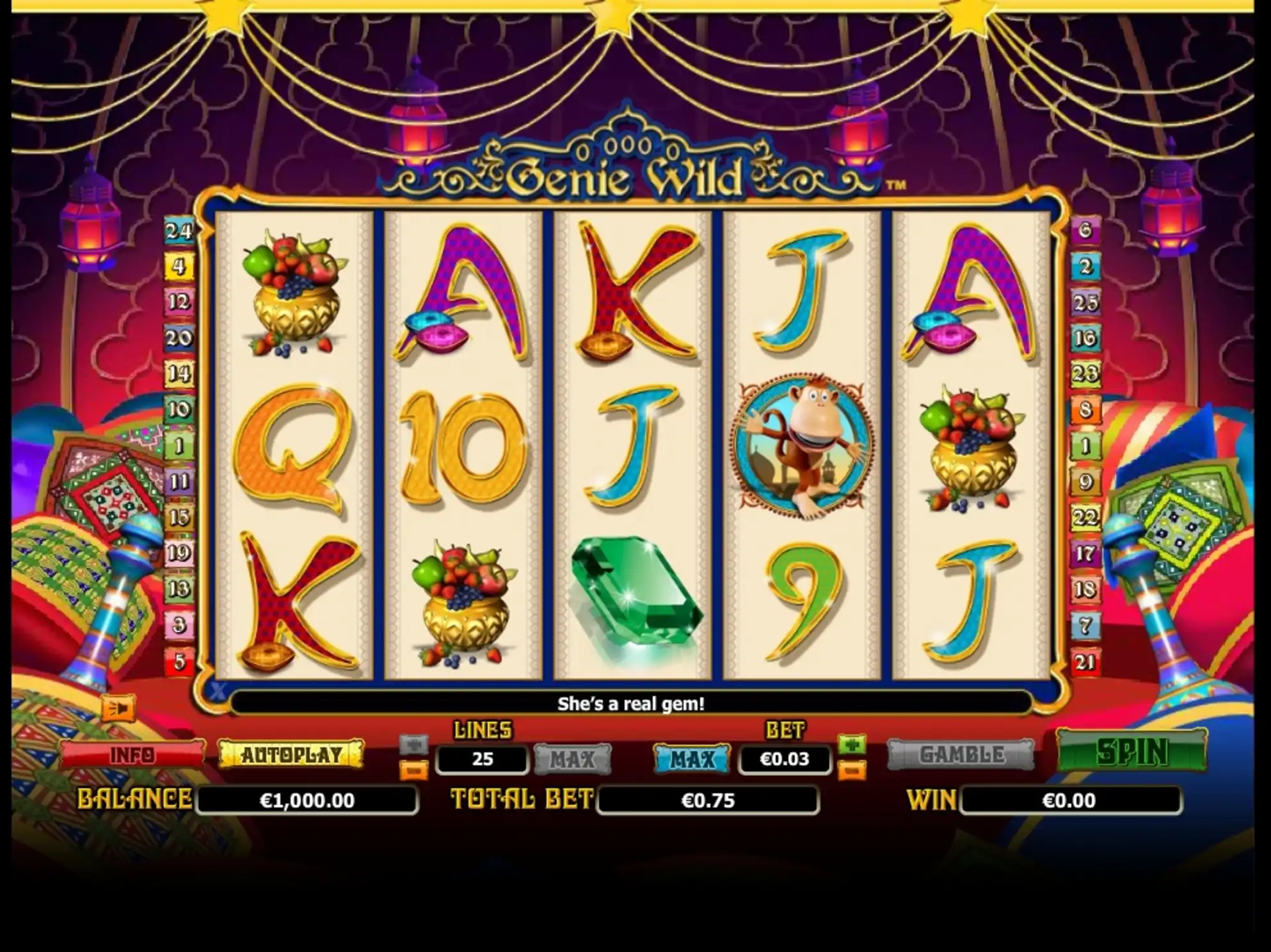 Reels in Genie Wild Slot Game by NextGen Gaming