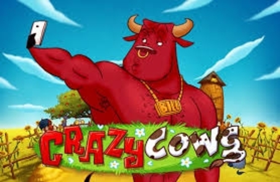 Crazy Cows demo