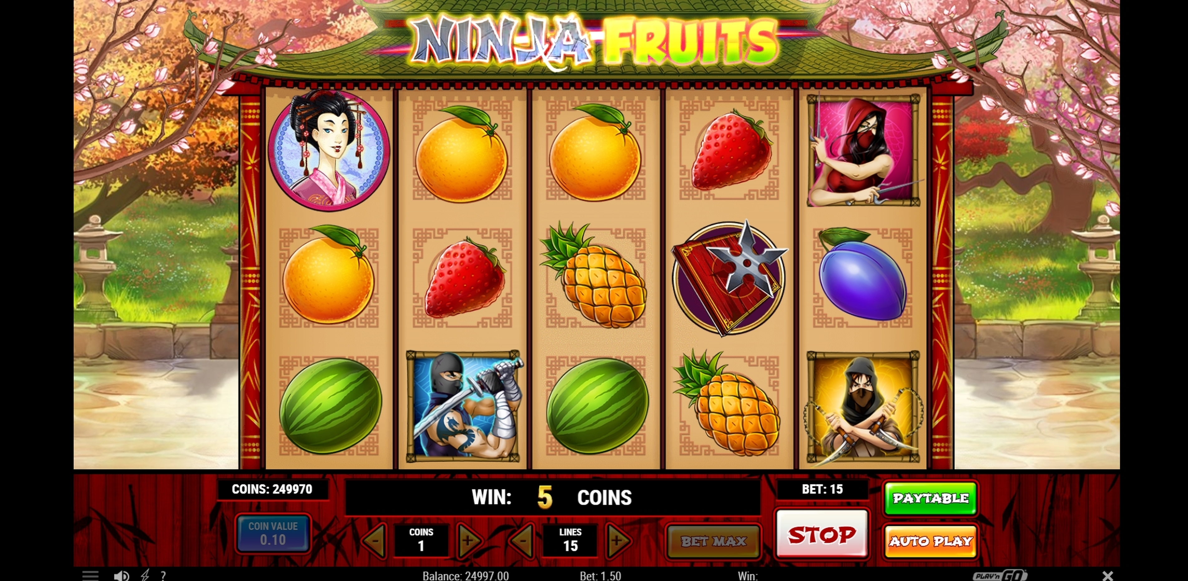 Win Money in Ninja Fruits Free Slot Game by Playn GO