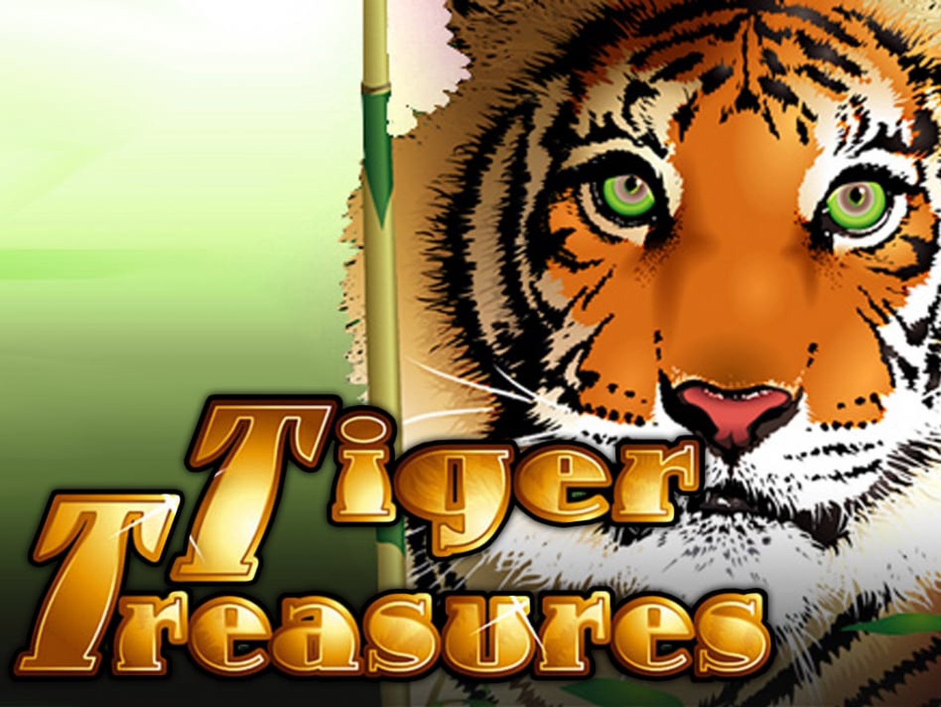 Tiger Treasures demo
