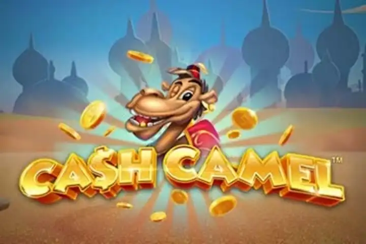 Cash & Camels demo