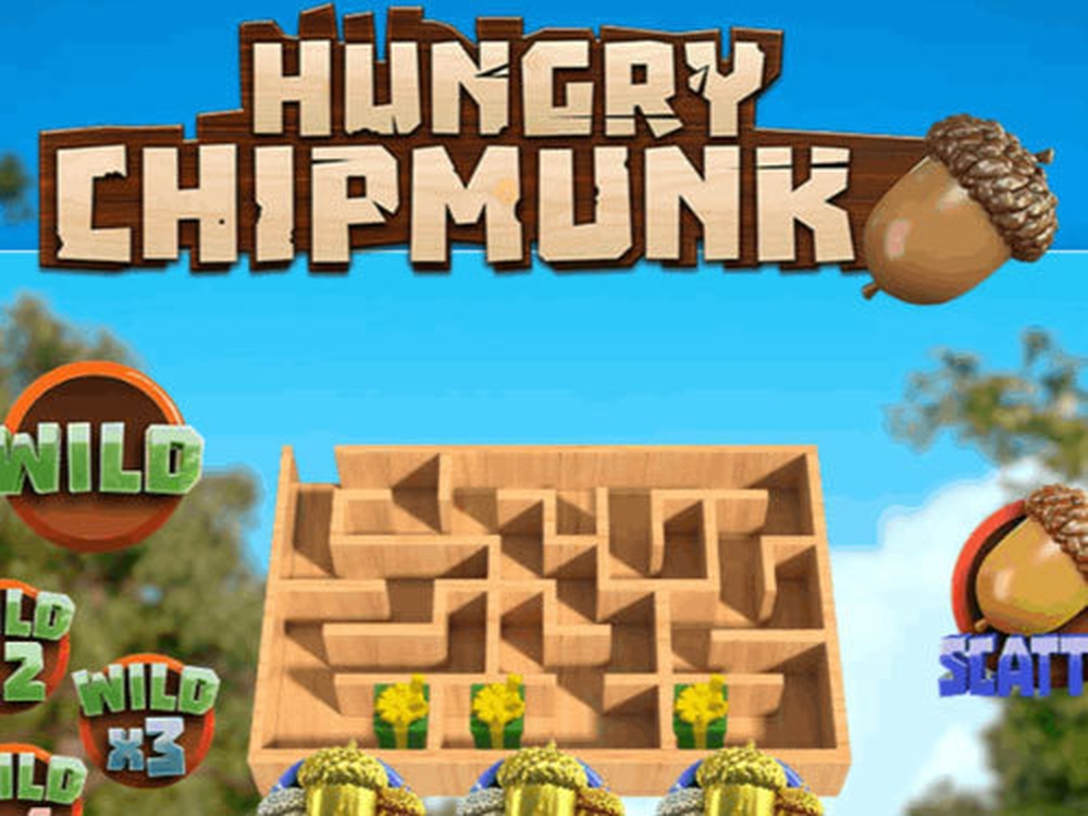 Hungry Chipmunk