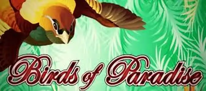 Birds Of Paradise